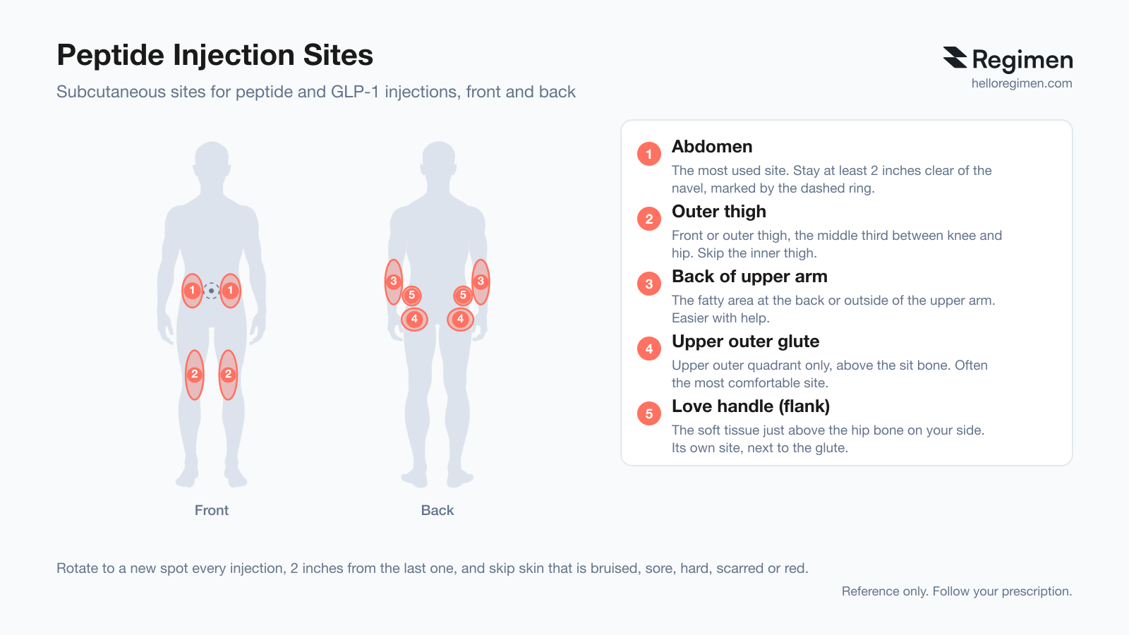 lipotropic b12 injections in arm or hip whats the diffetence Peptide Injection Sites: SubQ vs IM, Where to Inject Each Fat loss is more matrixify Size:30ml