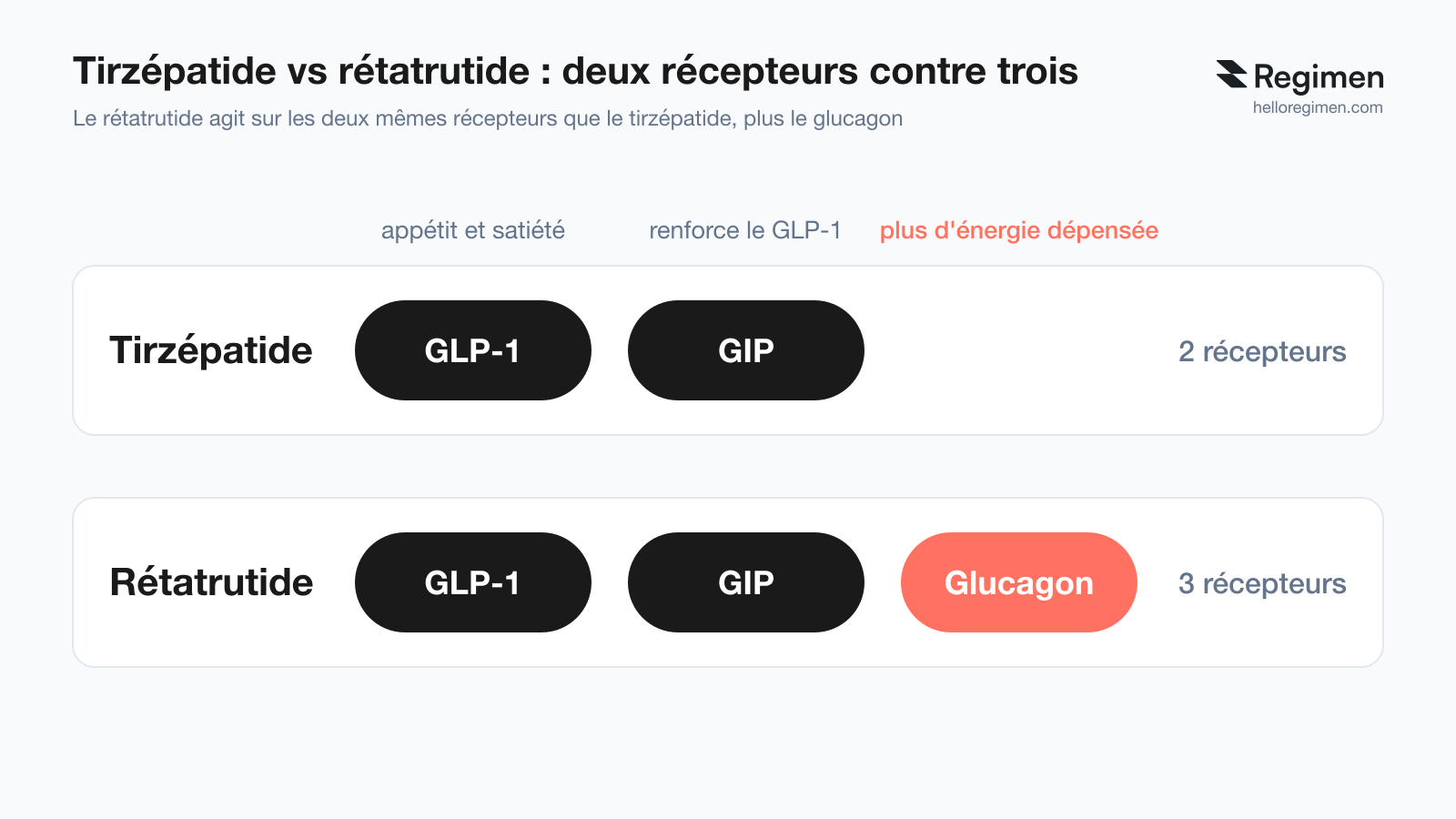 Schéma comparant le tirzépatide et le rétatrutide : le tirzépatide agit sur deux récepteurs, GLP-1 (appétit et satiété) et GIP (renforce le GLP-1) ; le rétatrutide agit sur ces deux mêmes récepteurs plus un troisième, le glucagon (plus d'énergie dépensée). Schéma réalisé par Regimen.
