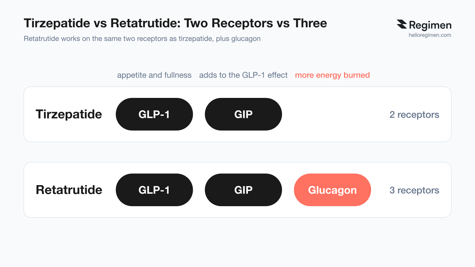 Diagram comparing tirzepatide and retatrutide: tirzepatide works on two receptors, GLP-1 (appetite and fullness) and GIP (adds to the GLP-1 effect); retatrutide works on those same two plus a third, glucagon (more energy burned). Chart by Regimen.
